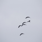 20131214_113831_07132.jpg