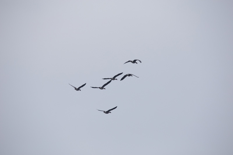 20131214_113833_07133.jpg