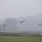 20131214_113938_07144.jpg