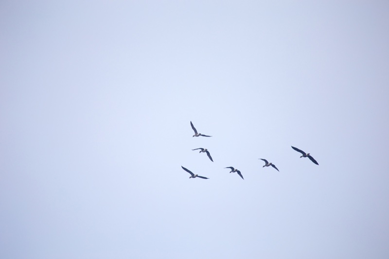 20131214_114538_07146.jpg