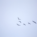 20131214_114538_07146.jpg