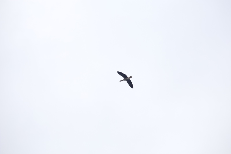 20131214_114812_07155.jpg