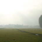 20131214_121113_11055.jpg