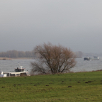 20131214_123007_07205.jpg