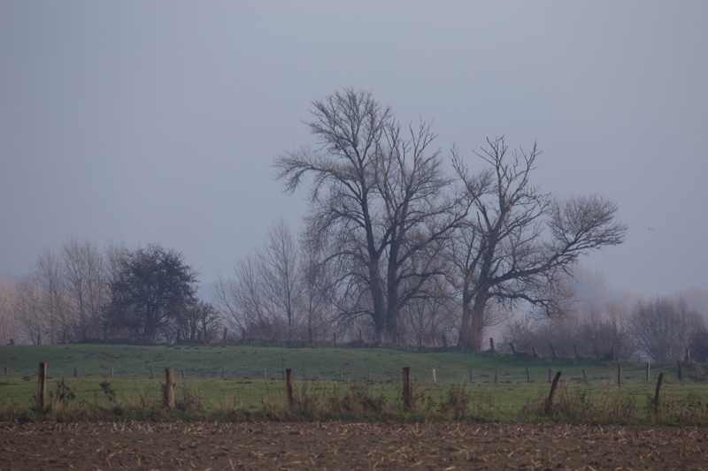 20131214_124104_07224.jpg