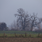 20131214_124104_07224.jpg
