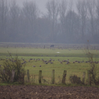 20131214_124310_07229.jpg
