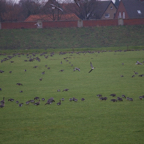 20131214_141727_07280.jpg