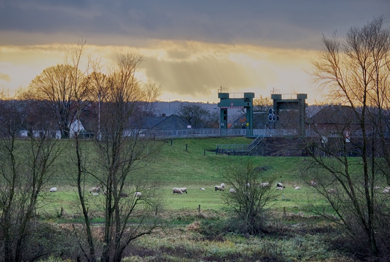 20131214_145230_07339_HDR.jpg