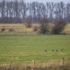 20131214_153003_07394.jpg