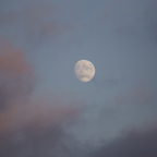 20131214_160651_07461.jpg