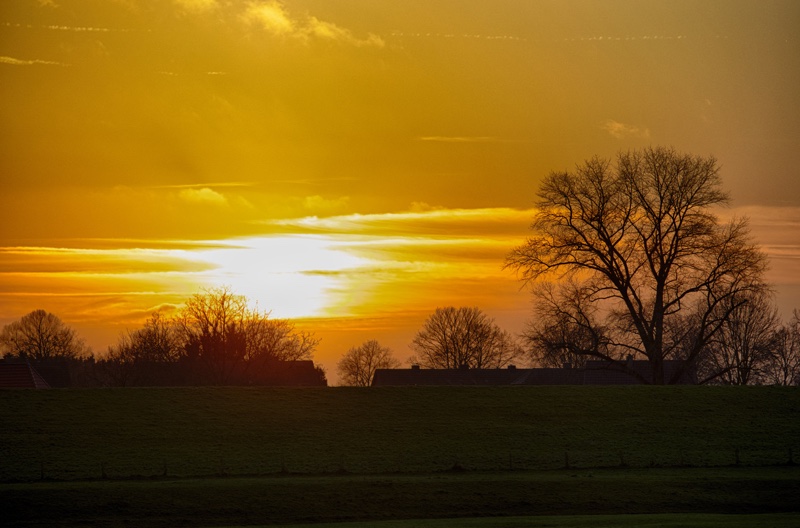 20131214_161103_07470_HDR.jpg