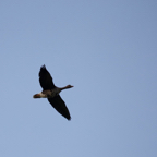 20131214_161528_07480.jpg