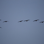 20131214_163139_07526.jpg