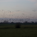 20131214_163211_07549.jpg