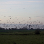 20131214_163213_07550.jpg