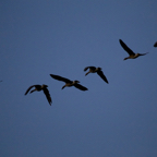 20131214_163338_07575.jpg