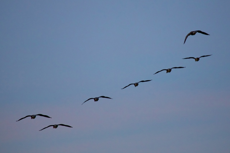 20131214_163352_07580.jpg