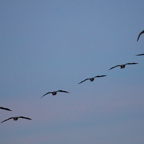 20131214_163352_07580.jpg