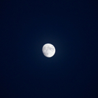 20131214_164415_07597.jpg