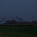 20131214_164915_07609.jpg