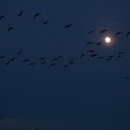 20131214_164958_07615.jpg