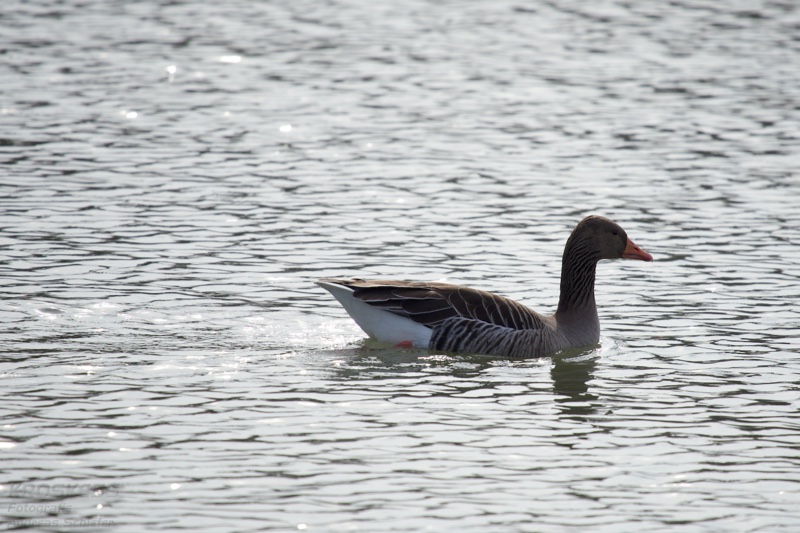 20140301_112404_11094.jpg