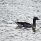 20140301_112404_11094.jpg