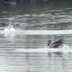 20140301_113225_11144.jpg