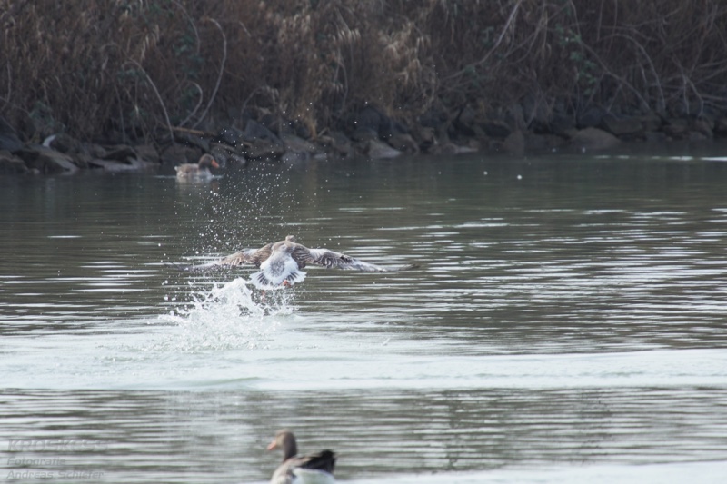 20140301_113226_11145.jpg