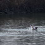 20140301_113341_11166.jpg