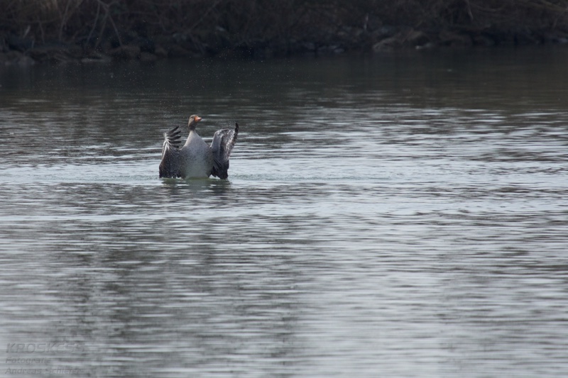 20140301_113345_11170.jpg