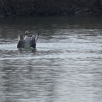20140301_113345_11170.jpg