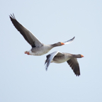 20140301_114309_11302.jpg