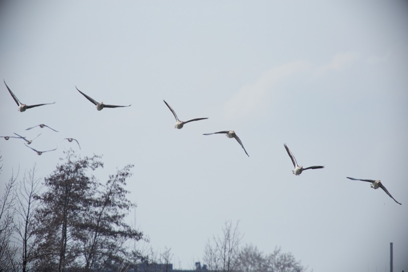 20140301_114459_11317.jpg