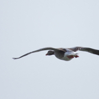 20140301_114521_11326.jpg