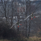 20140301_115045_11394.jpg