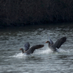 20140301_115048_11399.jpg