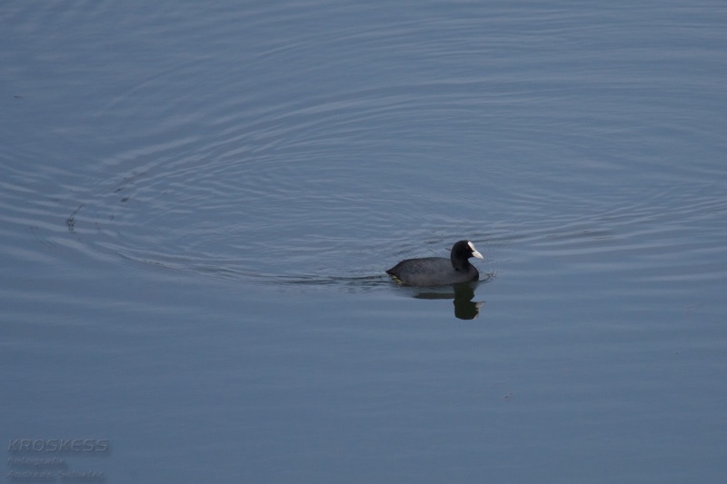 20140301_122632_11566.jpg
