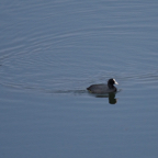 20140301_122632_11566.jpg