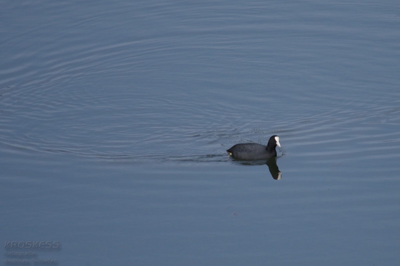 20140301_122632_11567.jpg