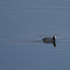 20140301_122632_11567.jpg
