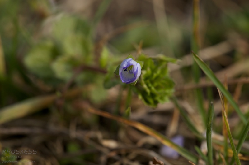 20140301_123600_11584.jpg