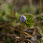 20140301_123600_11584.jpg