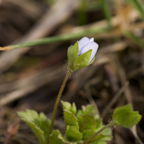 20140301_123716_11594.jpg