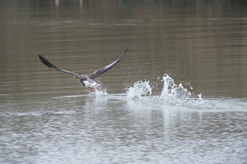 20140301_131438_11718.jpg