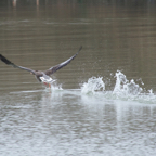 20140301_131438_11718.jpg