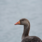 20140301_132311_11788.jpg
