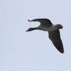 20140301_132950_11845.jpg