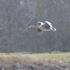 20140301_133529_11908.jpg